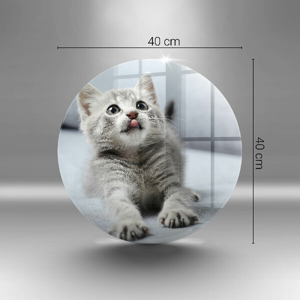 Skärbräda glas unik Liten söt kattunge