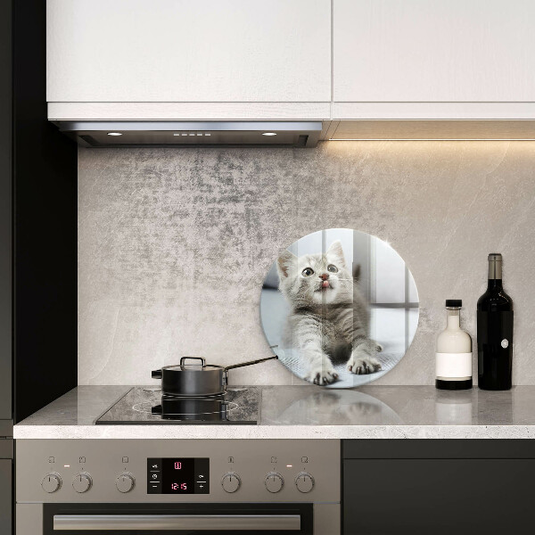 Skärbräda glas unik Liten söt kattunge