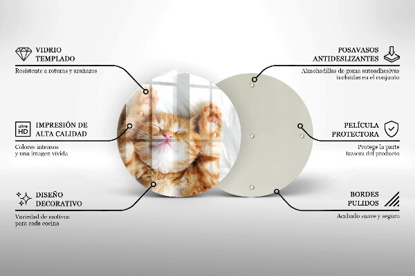 Skärbräda glas unik Liten söt kattunge