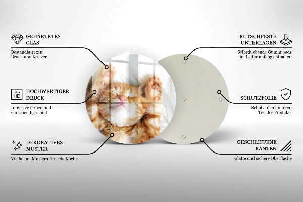 Skärbräda glas unik Liten söt kattunge