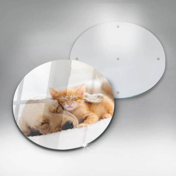 Skärbräda glas unik Djur hund och katt