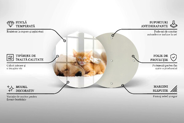 Skärbräda glas unik Djur hund och katt