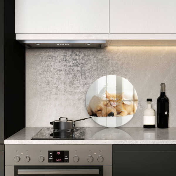 Skärbräda glas unik Djur hund och katt