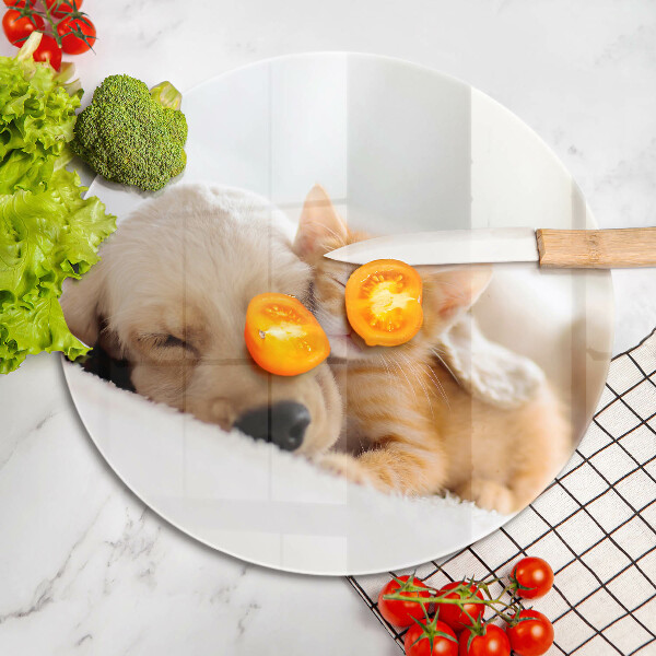 Skärbräda glas unik Djur hund och katt