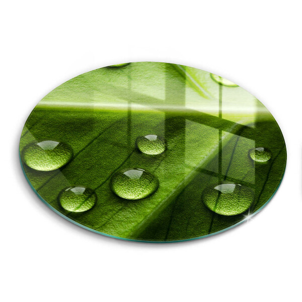 Skärbräda glas unik Natur dagg och löv