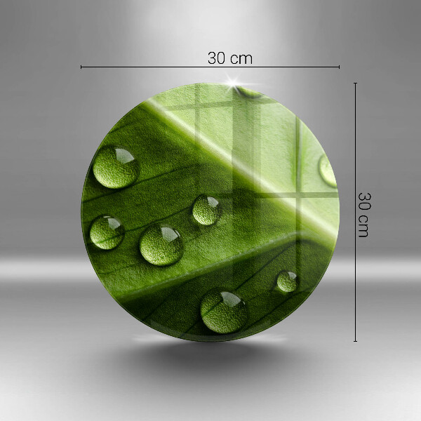 Skärbräda glas unik Natur dagg och löv