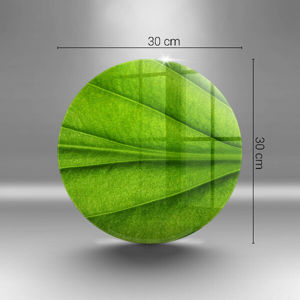 Skärbräda glas unik Natur ven blad