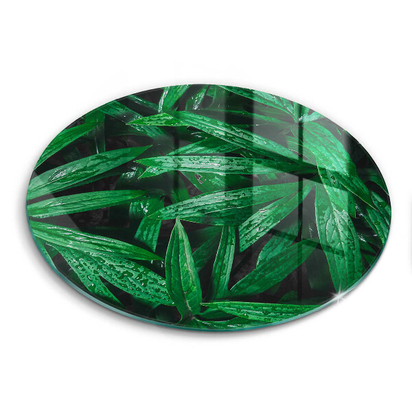 Skärbräda glas unik Växter löv