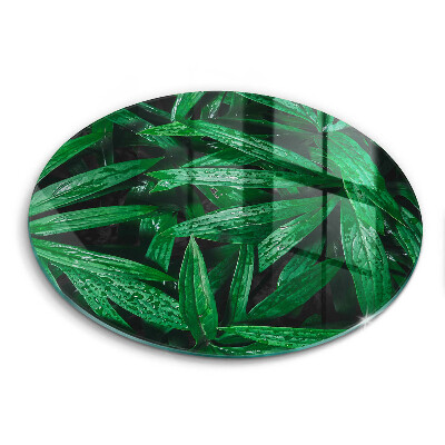 Skärbräda glas unik Växter löv