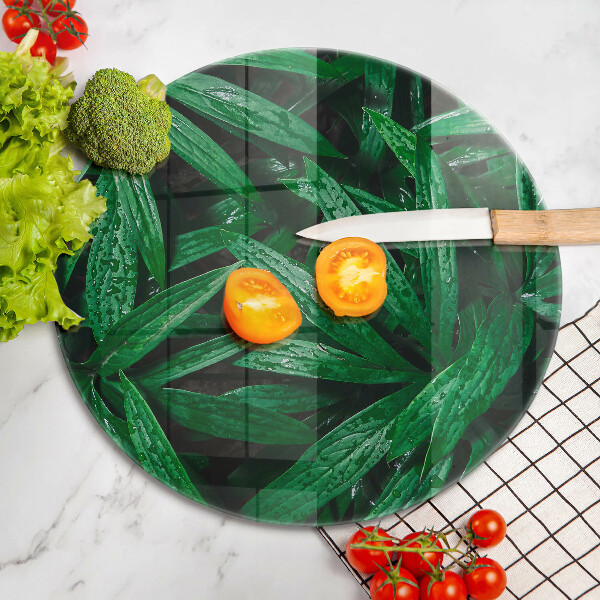 Skärbräda glas unik Växter löv