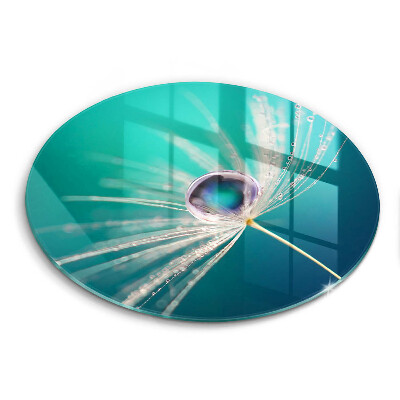 Skärbräda glas unik Dagg på en maskros