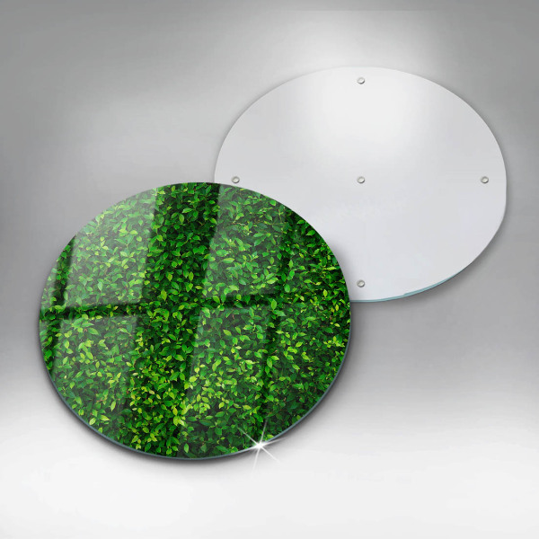 Skärbräda glas unik Plantera med små blad