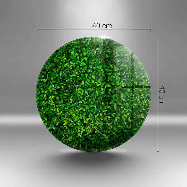 Skärbräda glas unik Plantera med små blad