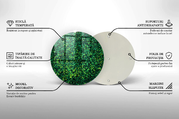 Skärbräda glas unik Plantera med små blad