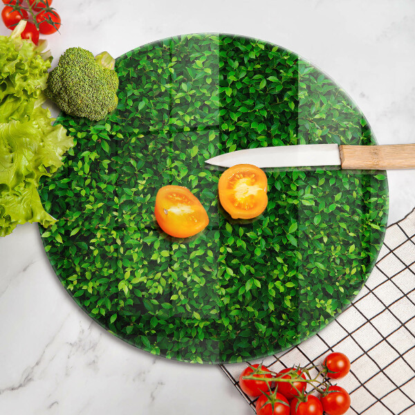 Skärbräda glas unik Plantera med små blad