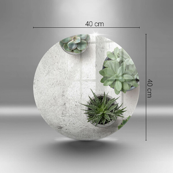Skärbräda glas unik Suckulenter på betong