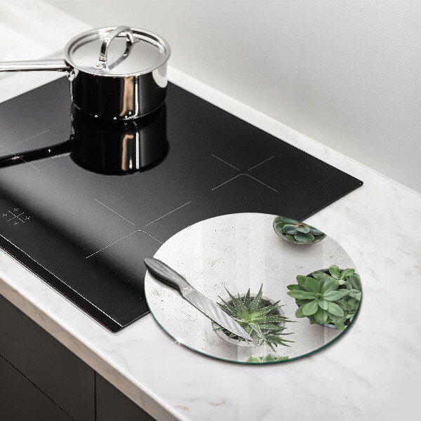 Skärbräda glas unik Suckulenter på betong