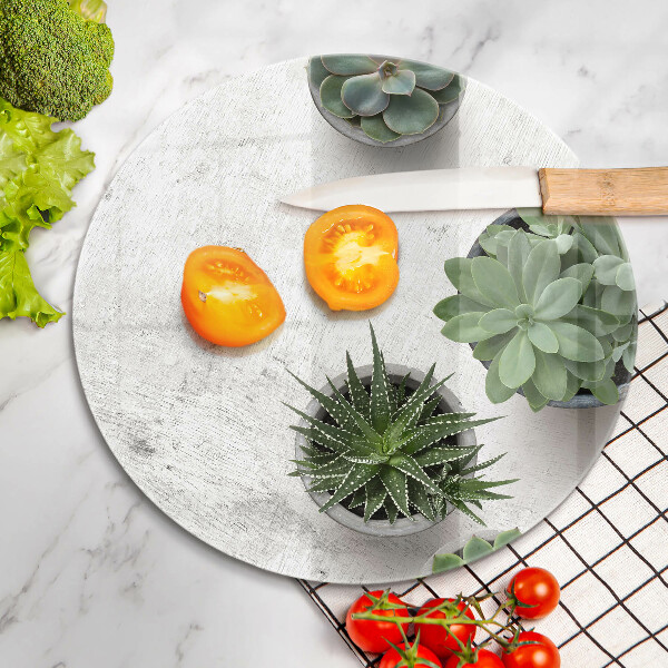 Skärbräda glas unik Suckulenter på betong