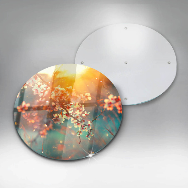 Skärbräda glas unik Äppel blommar i solen