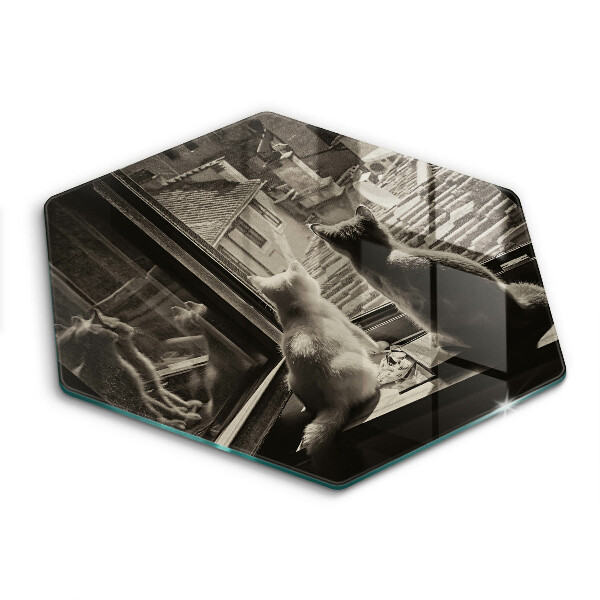 Skärbräda glas sexhörning Katter stad och fönster