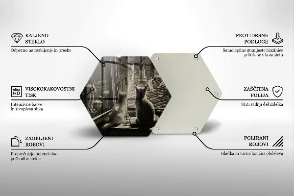 Skärbräda glas sexhörning Katter stad och fönster