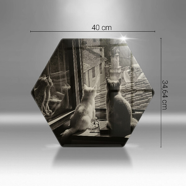 Skärbräda glas sexhörning Katter stad och fönster
