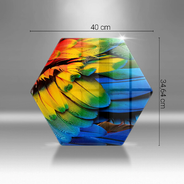 Skärbräda glas sexhörning Färgglada papegojfjädrar