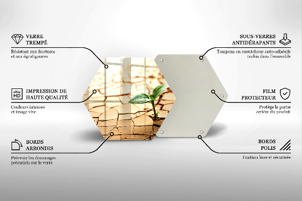 Skärbräda glas sexhörning En ensam växt