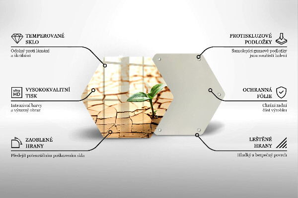 Skärbräda glas sexhörning En ensam växt