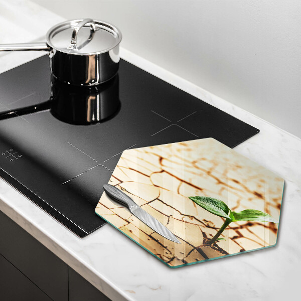 Skärbräda glas sexhörning En ensam växt