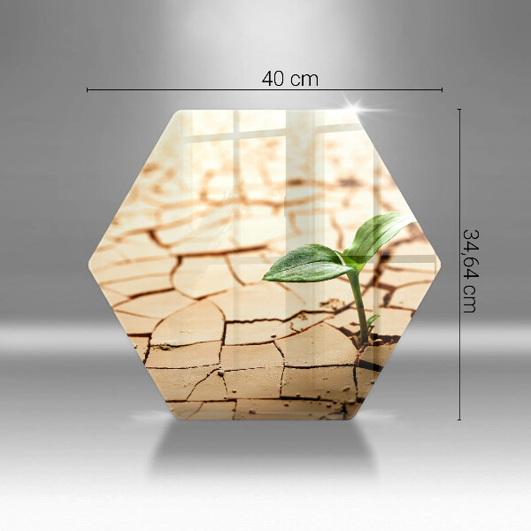 Skärbräda glas sexhörning En ensam växt