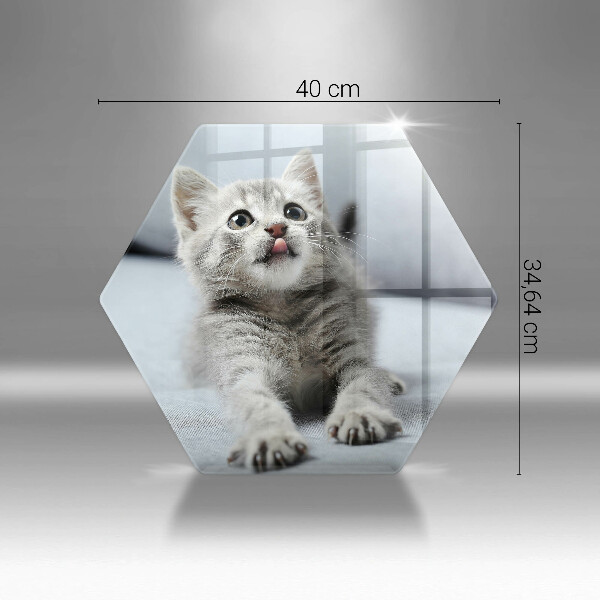 Skärbräda glas sexhörning Liten söt kattunge