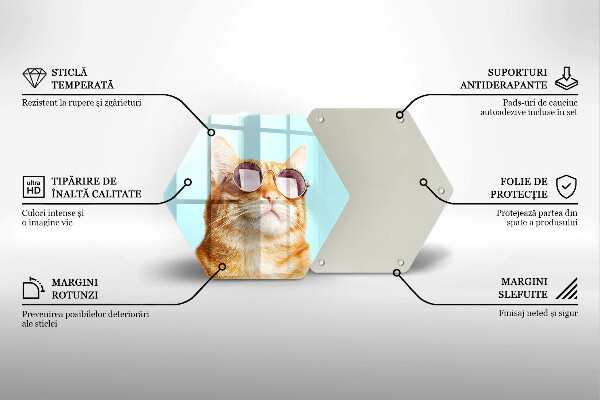Skärbräda glas sexhörning Röd katt med glasögon