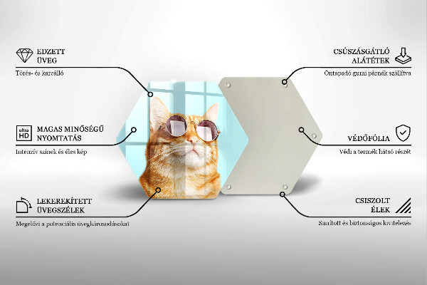 Skärbräda glas sexhörning Röd katt med glasögon