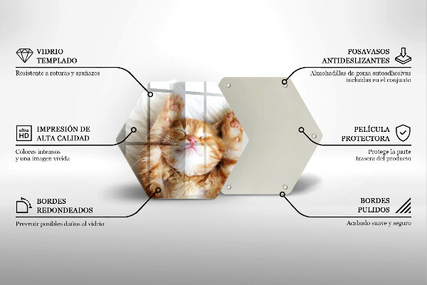 Skärbräda glas sexhörning Liten söt kattunge