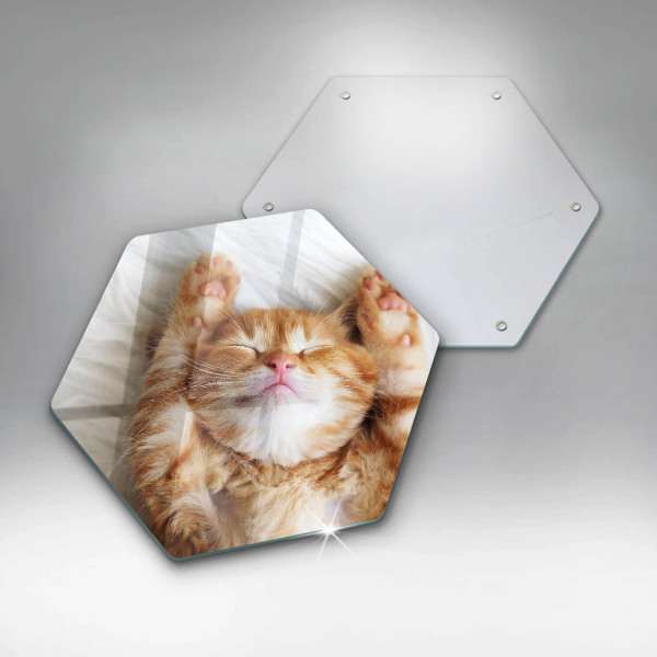 Skärbräda glas sexhörning Liten söt kattunge