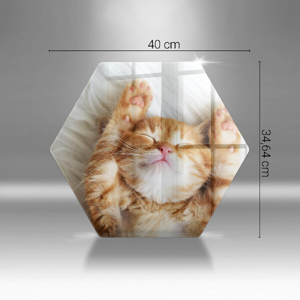 Skärbräda glas sexhörning Liten söt kattunge