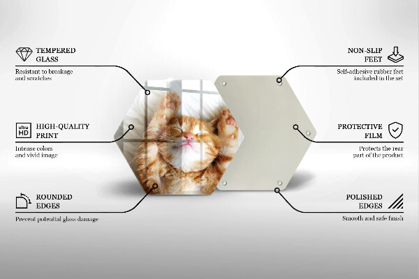 Skärbräda glas sexhörning Liten söt kattunge