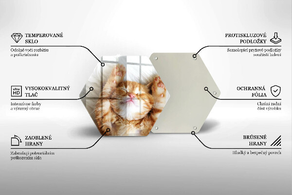 Skärbräda glas sexhörning Liten söt kattunge