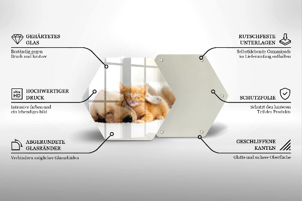 Skärbräda glas sexhörning Djur hund och katt