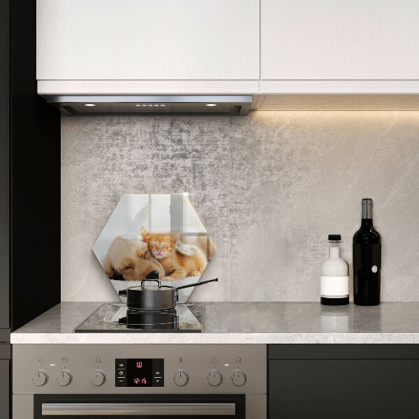 Skärbräda glas sexhörning Djur hund och katt