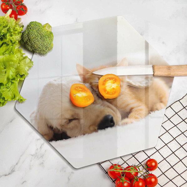 Skärbräda glas sexhörning Djur hund och katt