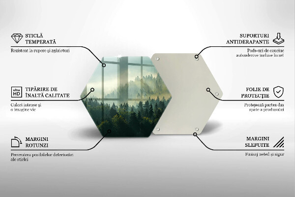 Skärbräda glas sexhörning Landskap Utsikt över skogen