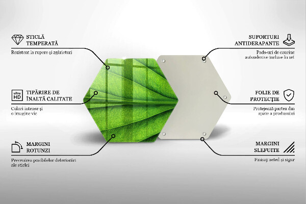 Skärbräda glas sexhörning Natur ven blad