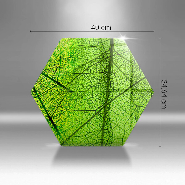 Skärbräda glas sexhörning Natur löv vener