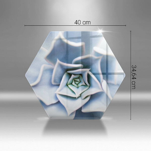 Skärbräda glas sexhörning Blomma växt