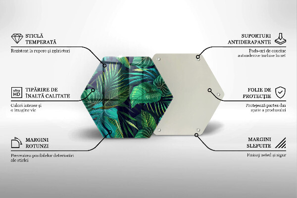 Skärbräda glas sexhörning Djungel löv illustration