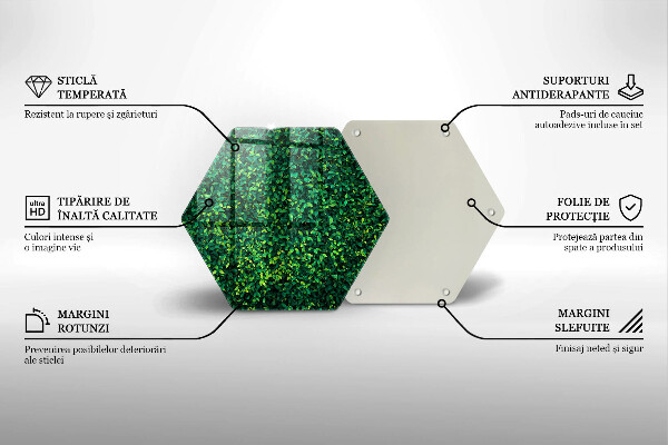 Skärbräda glas sexhörning Plantera med små blad