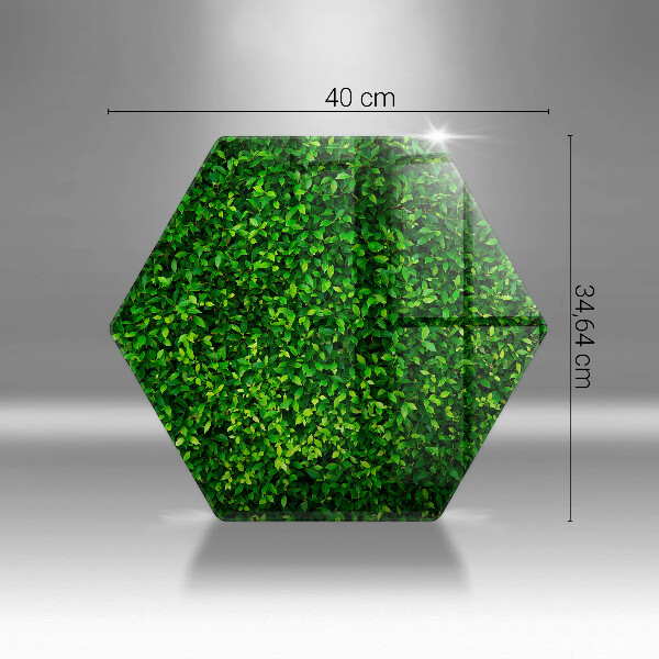 Skärbräda glas sexhörning Plantera med små blad