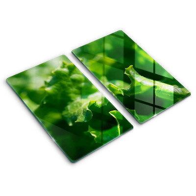 Skyddsplatta för spis Salladsblad